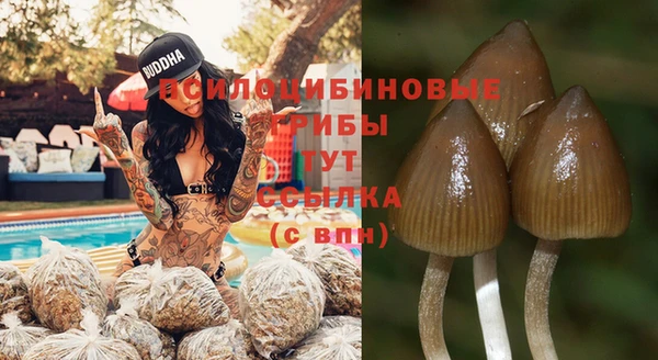 прущий лед Верхний Тагил