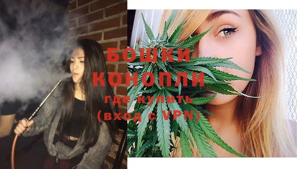 мдпв Верея