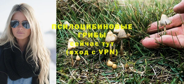 мдпв Верея
