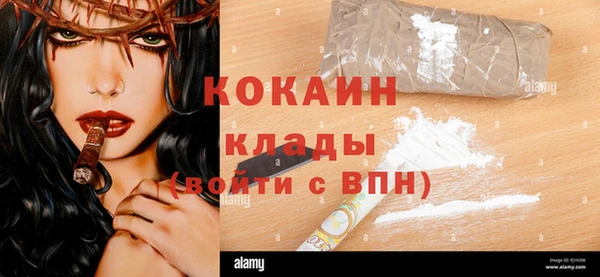 прущие грибы Семикаракорск