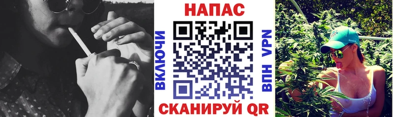 Бошки Шишки конопля  Нариманов 